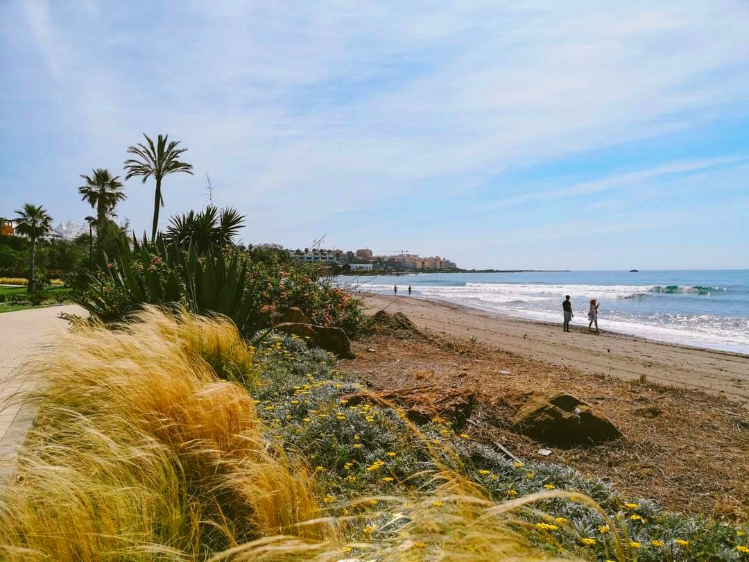 Playa de Guadalobón, Estepona